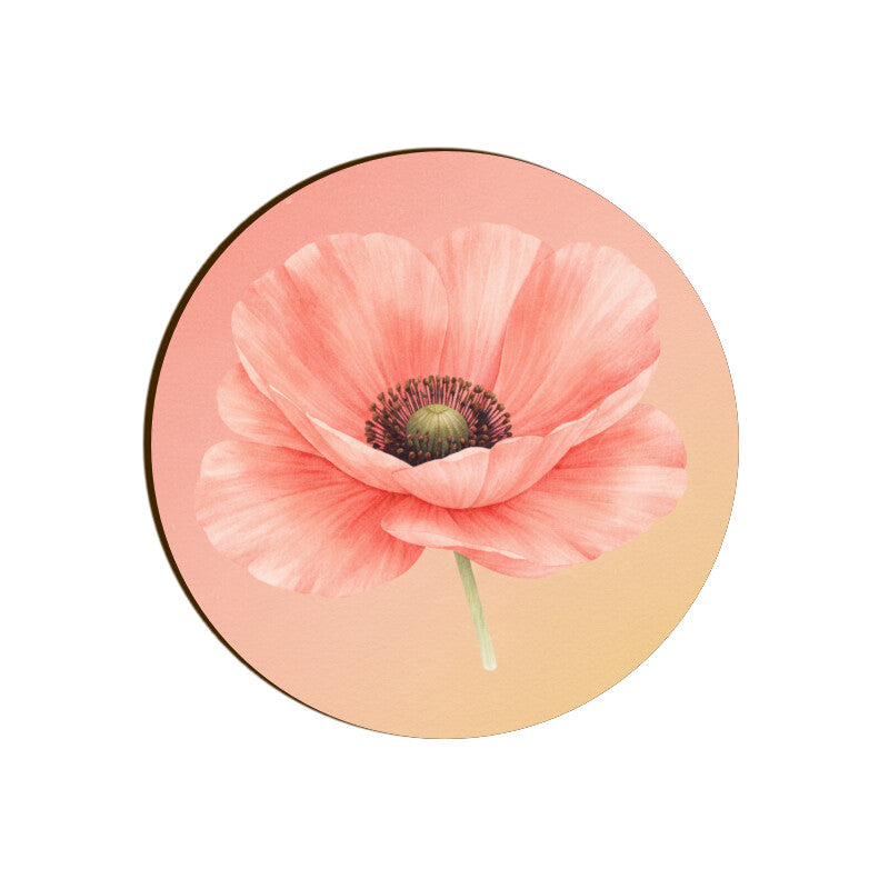 Front View - 5844377