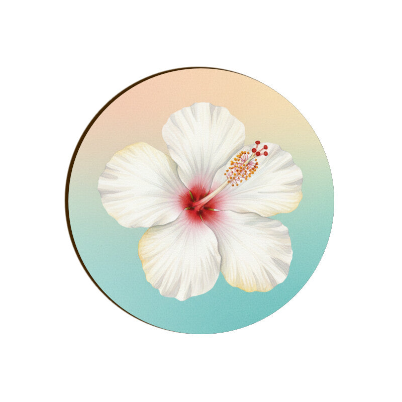 Front View - 5844674