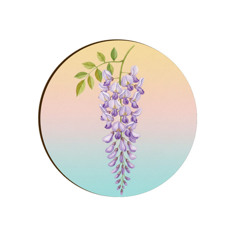 Front View - 5844685