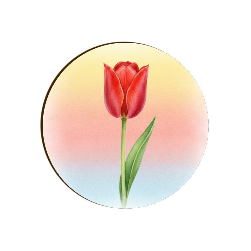 Front View - 5844696