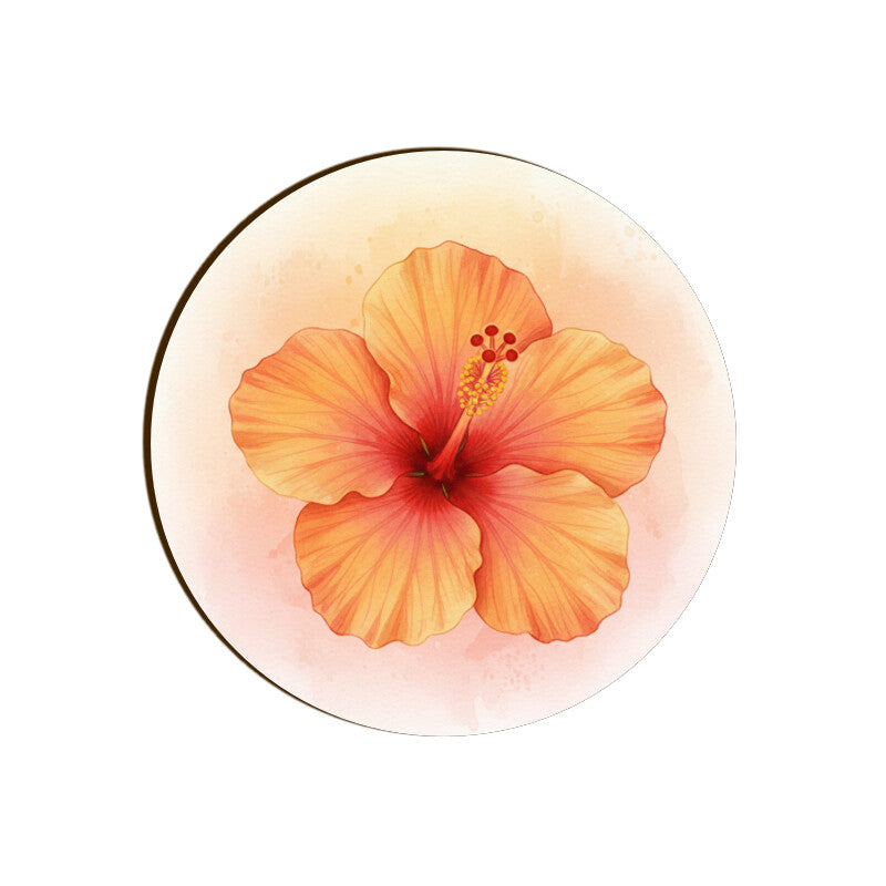 Front View - 5844705