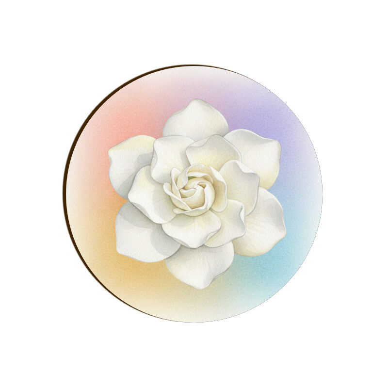 Front View - 5844718