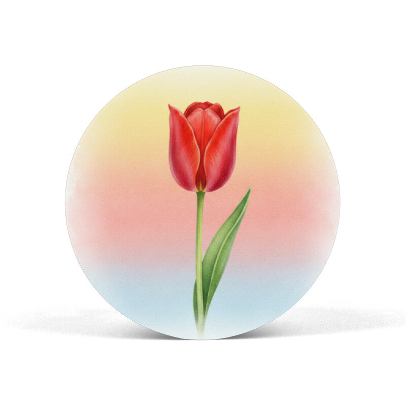 Front View - 5844783